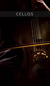 [欧洲联合弦乐团:大提琴]Auddict United Strings of Europe Cellos [KONTAKT]（6.74GB）