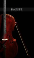 [欧洲联合弦乐团:低音提琴]Auddict United Strings of Europe:Basses [KONTAKT]（2.81GB）