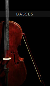 [欧洲联合弦乐团:低音提琴]Auddict United Strings of Europe:Basses [KONTAKT]（2.81GB）