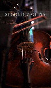 [欧洲联合弦乐团:小提琴]Auddict United Strings of Europe Second Violins [KONTAKT]（7.58GB）