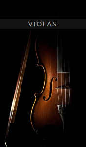 [欧洲联合弦乐团:中提琴]Auddict United Strings of Europe Violas [KONTAKT]（3.94GB）
