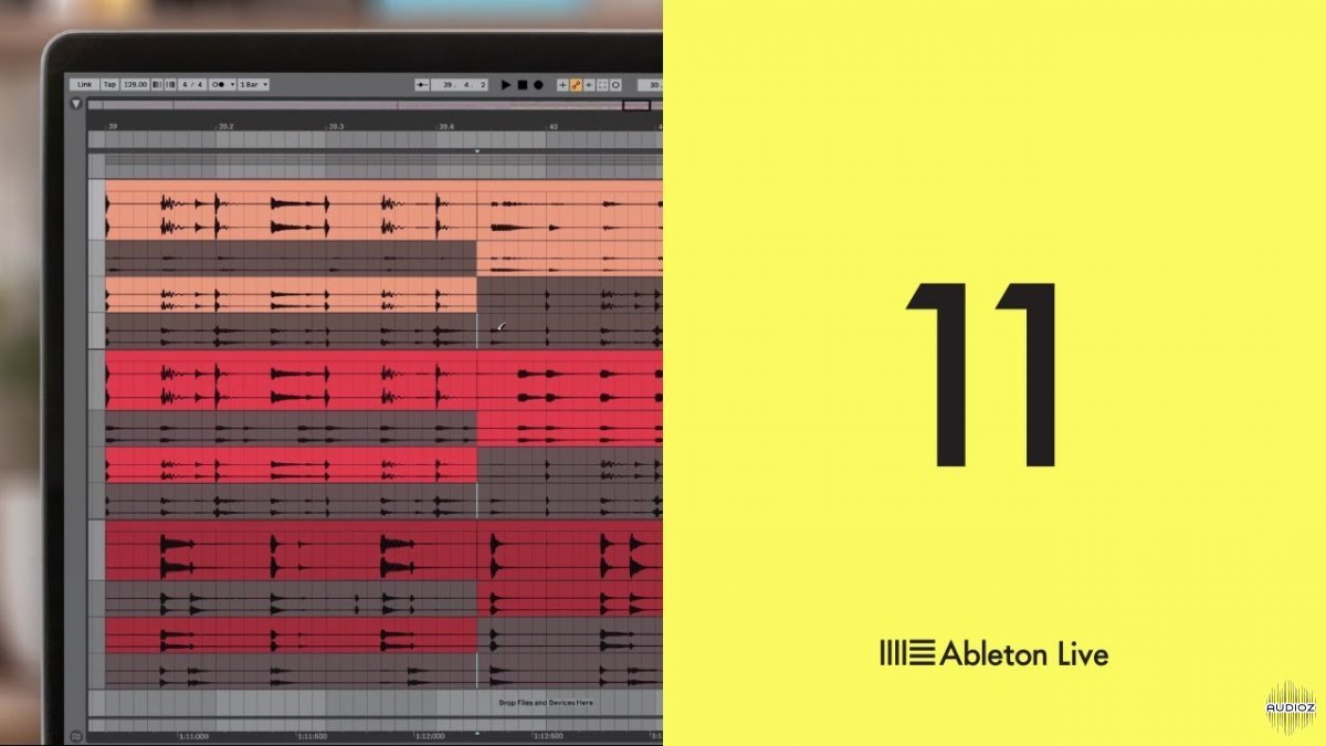 Ableton Live 11 Suite v11.1.0 v11.0.12 [WiN, MacOS]（5.19GB）插图