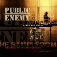 East West 25th Anniversary Collection Public Enemy v1.0.0 [PLAY/OPUS]（1.13GB）插图