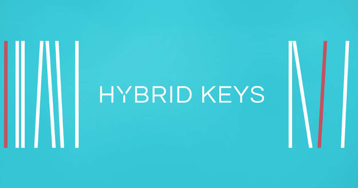 Native Instruments Hybrid Keys v2.0.2 [KONTAKT]（3.66GB）插图