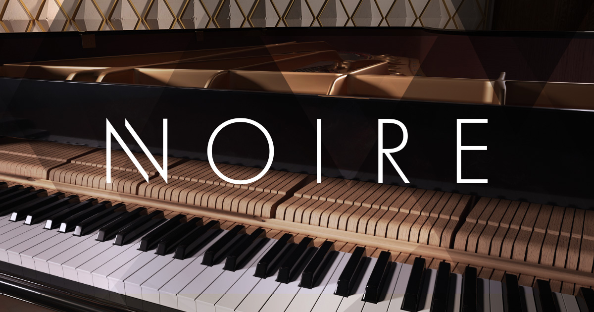 Native Instruments Noire v1.0.0 [KONTAKT]（14.42GB）插图