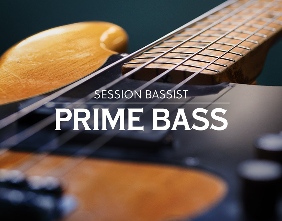 Native Instruments Session Bassist Prime Bass [KONTAKT]（8.57GB）插图