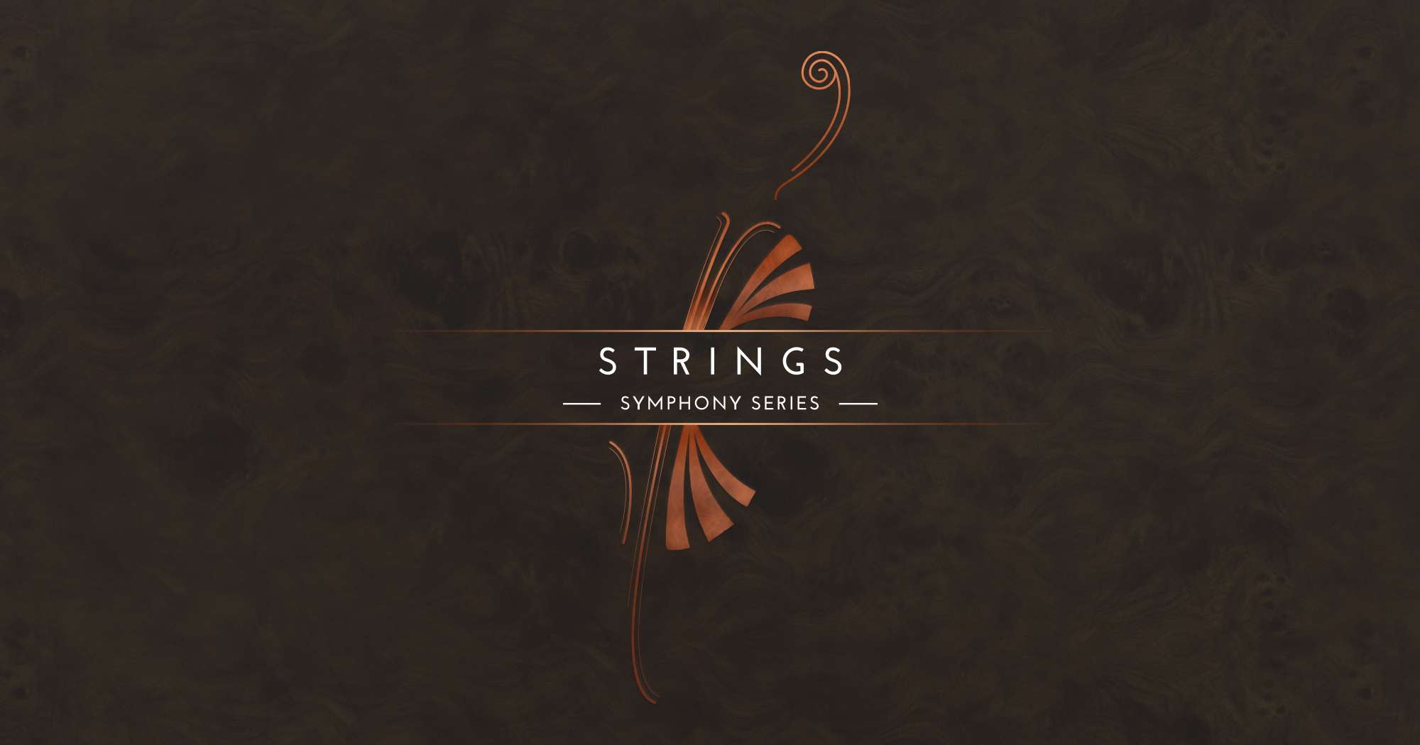Native Instruments SYMPHONY SERIES STRING ENSEMBLE v1.4.1 [KONTAKT]（32