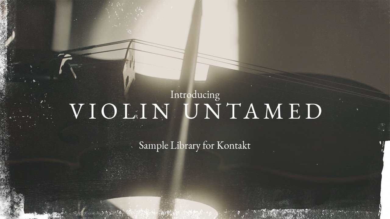[独奏小提琴]Westwood Instruments Violin Untamed [KONTAKT]（3.66GB）插图