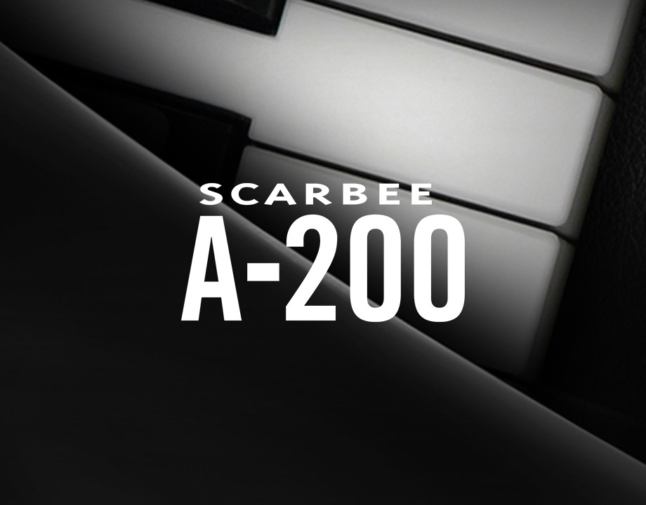 Native Instruments Scarbee A-200 v1.3.0 [KONTAKT]（852MB）插图
