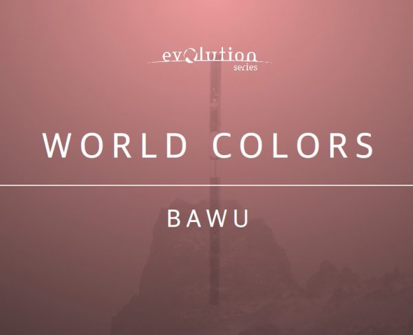 [民族乐器中国巴乌]Evolution Series World Colors Bawu v1.0 [KONTAKT]（646MB）