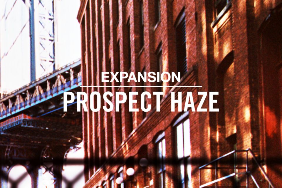 [Maschine扩展-东海岸嘻哈经典]Native Instruments Maschine Expansion Prospect Haze v2.0.2（1.12GB）插图