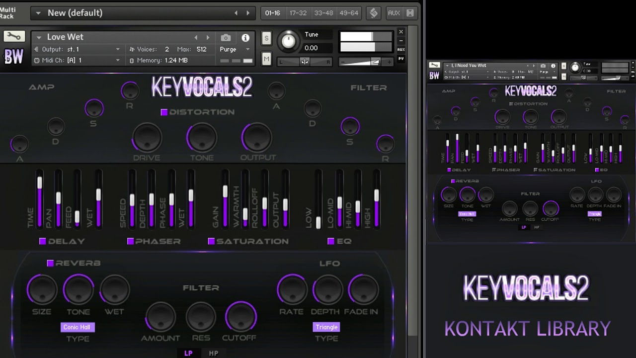 [氛围嘻哈RnB人声音源]BigWerks Key Vocals II [KONTAKT]（171MB）插图