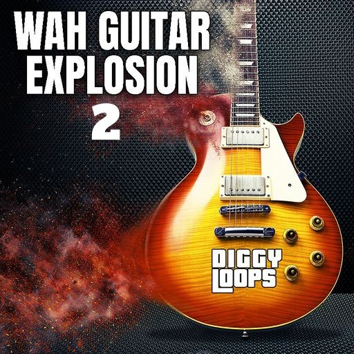[20首吉他哇音旋律]Big Citi Loops Wah Guitar Explosion 2 WAV（14.49MB）