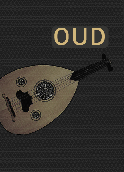 [传统波斯乐器乌德琴]Cinematique Instruments Oud v1.5 [KONTAKT]（488MB）插图