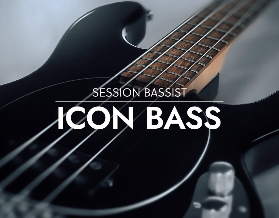Native Instruments Session Bassist Icon Bass [KONTAKT]（4.62GB）插图
