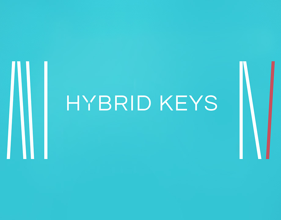 [突变的创意键盘] Native Instruments Hybrid Keys v2.1.0 [KONTAKT]（3.95GB）插图