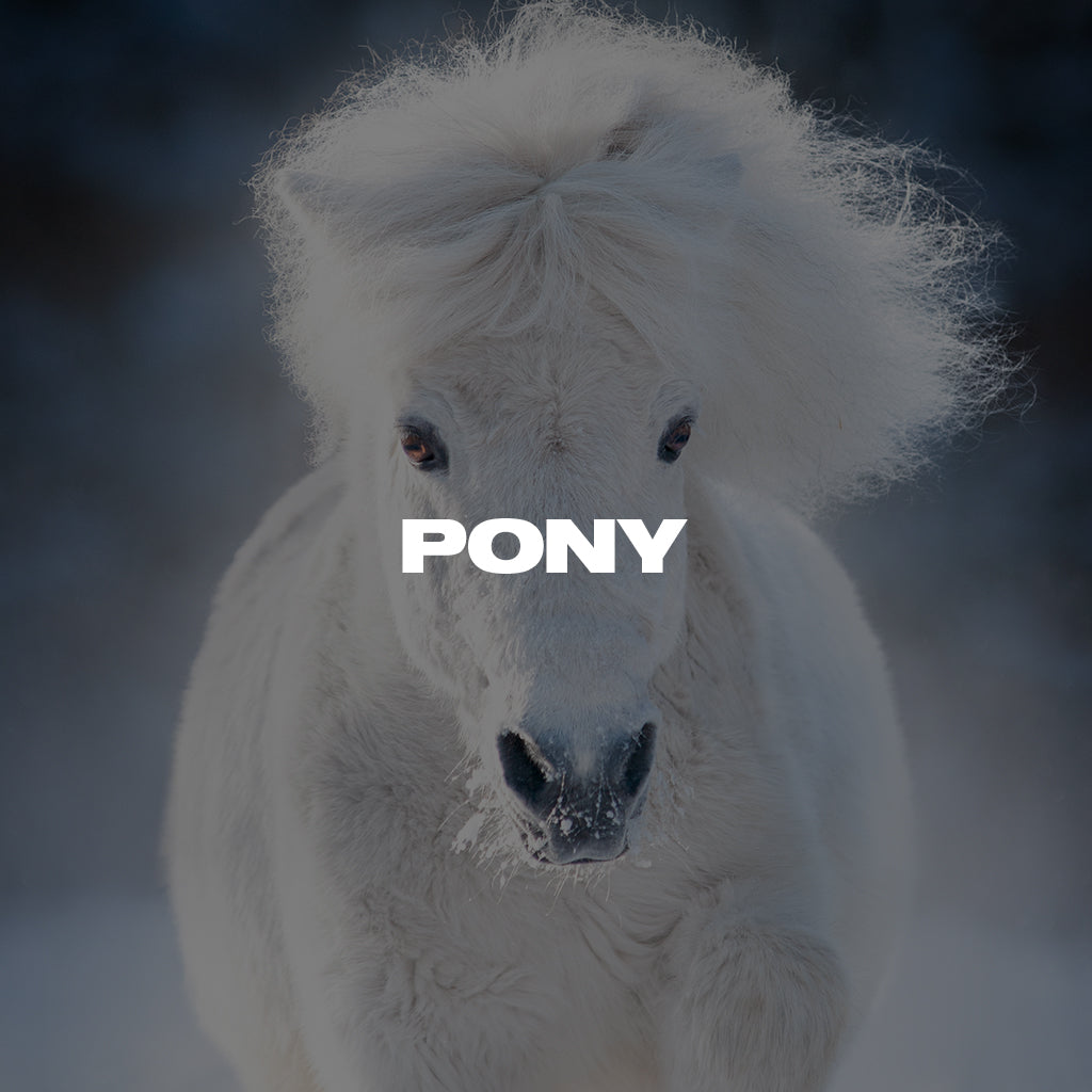 [吉他谱] W6RST Tim Henson Pony Tabs [GPX, PDF]（91.19KB）插图