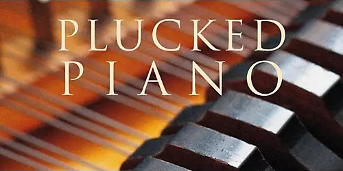 Spitfire Audio Plucked Piano v1.2 [KONTAKT]（1.8GB）