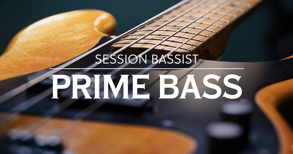 Native Instruments Session Bassist Prime Bass v1.0.2 [KONTAKT]（9.37GB）插图