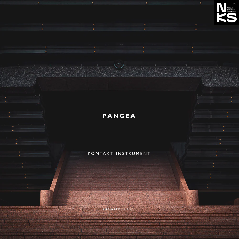 [强大的电影音效] Infinite Samples Pangea v1.2.10 [KONTAKT]（5.02GB）插图