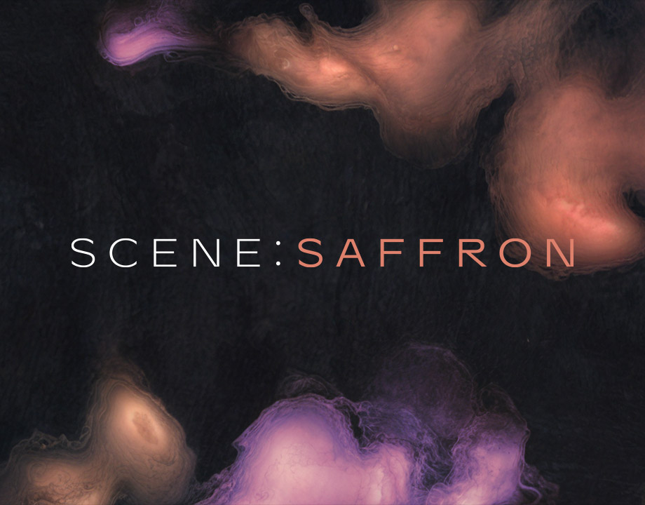 [轻量化影视音源] Native Instruments Scene: Saffron v1.0.1 [KONTAKT]（1.04GB）插图