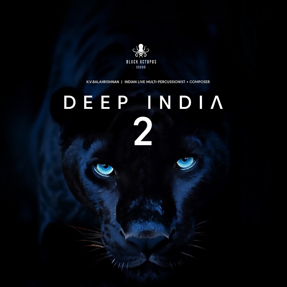 [世界级的印度乐器和动态打击乐采样] Black Octopus Sound Deep India Vol.2 [WAV]（7.63GB）插图
