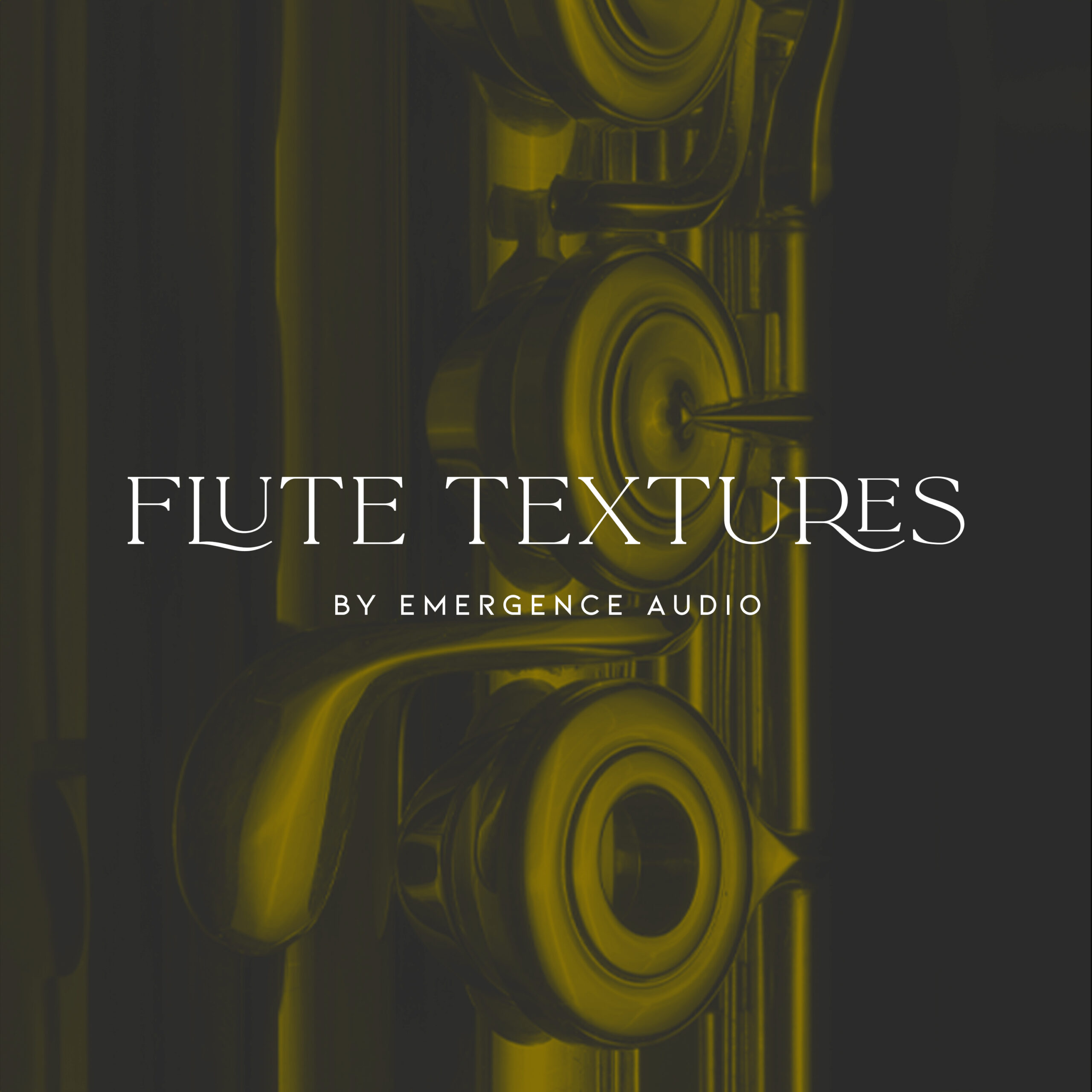 [长笛纹理音源] Emergence Audio Flute Textures [KONTAKT]（5.34GB）插图
