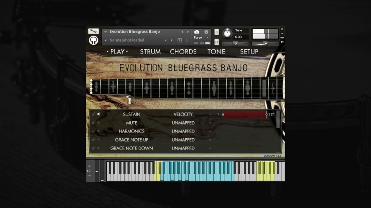 [班卓琴音源] Orange Tree Samples Evolution Clawhammer Banjo v1.2.5 [KONTAKT]（3.34GB）插图