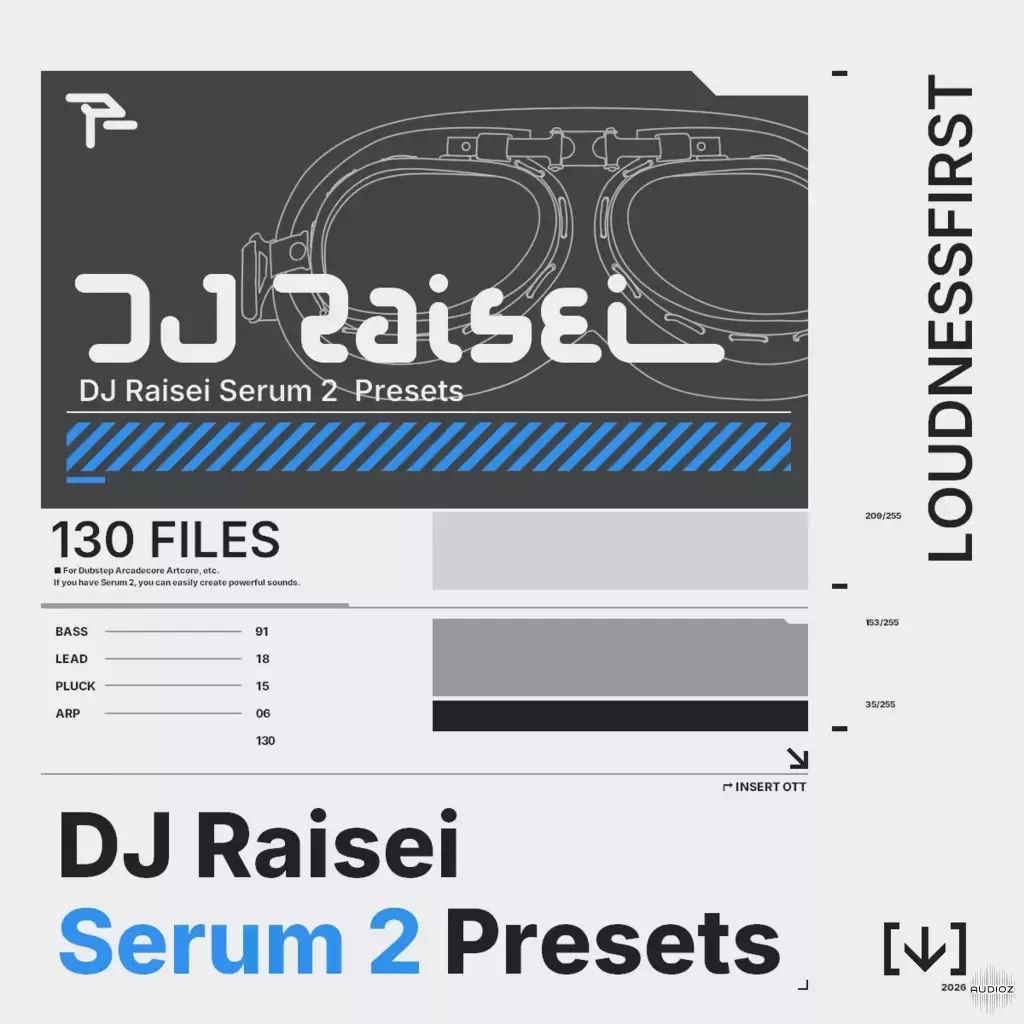 [Serum预置回响重拍] DJ Raisei Serum 2 Presets（65MB）插图