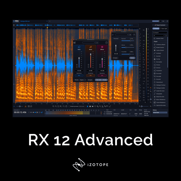 [降噪修复分离平衡工具] iZotope RX 12 Audio Editor Advanced v12.1.0 [WiN]（1.05GB）